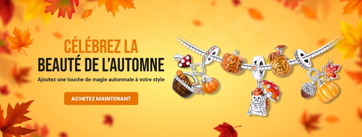 Bannière promotionnelle