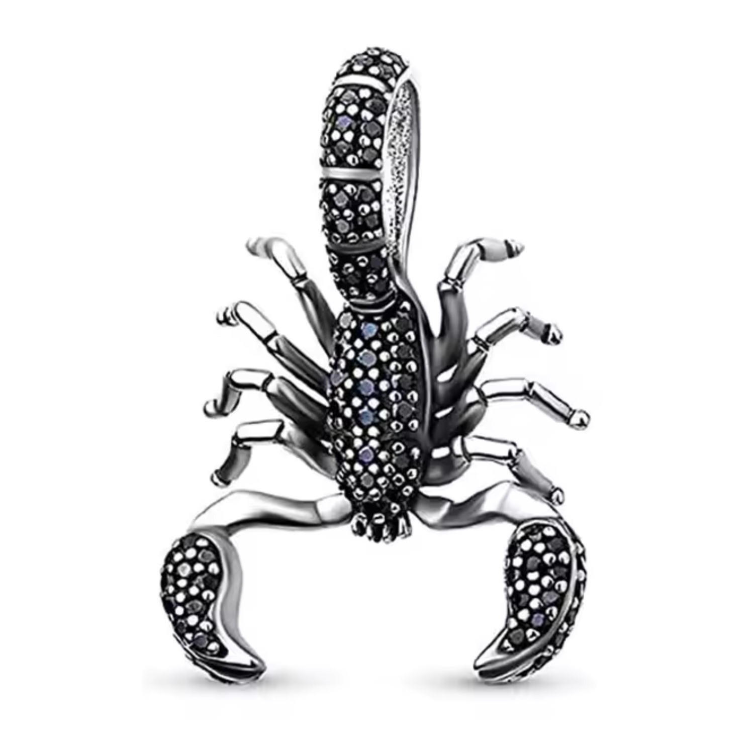 Charm - Scorpion Noir