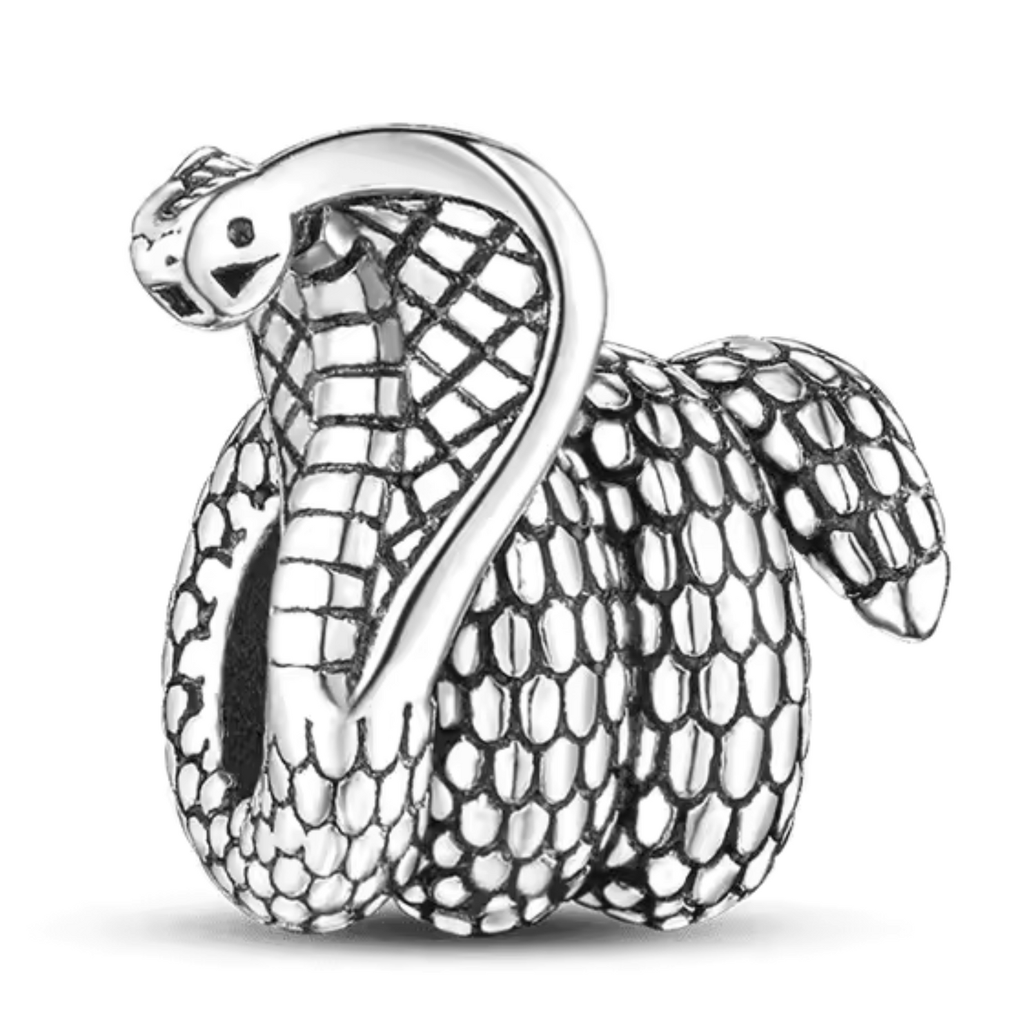 Charm Cobra Majestueux