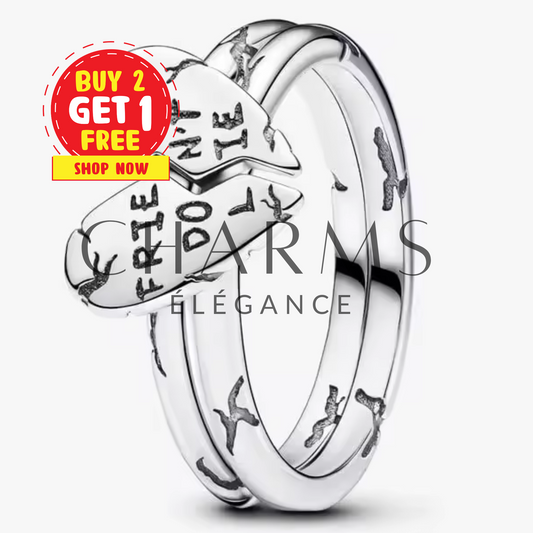 Bague Argentée Stranger Things "Friends Don't Lie" – Amitié et Magie de l'Univers Surnaturel - Charms Élégance